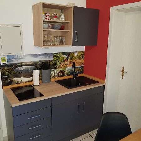 Zimmerappartement "Rose" - Ferienwohnungen Wagner & Gaul Daleiden Екстер'єр фото